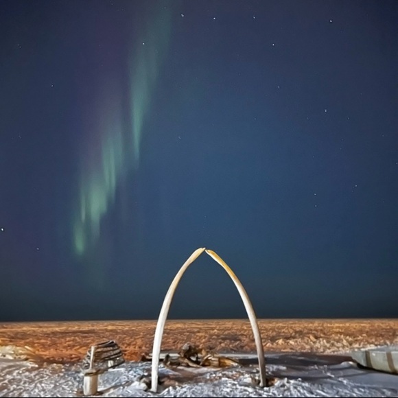 Meet your Posher, Vicki - Picture 3 of 15